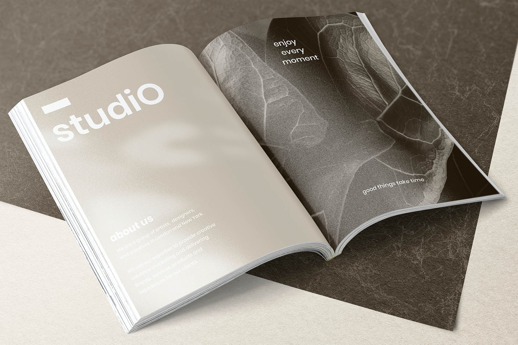 Catalog on the table